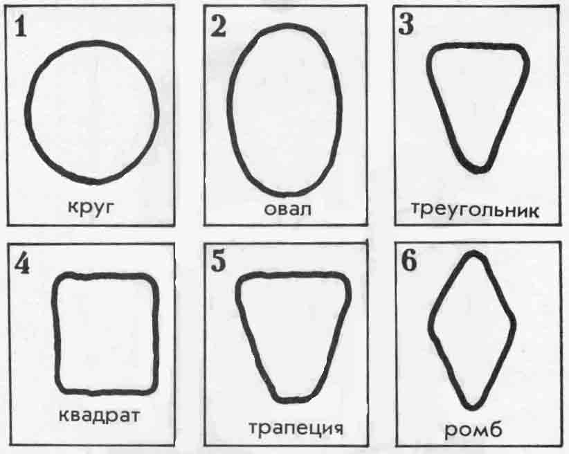 Image27.gif (303561 bytes)