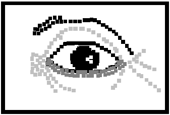 Image69.gif (4031 bytes)