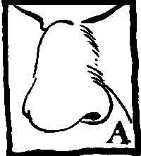 Image79.jpg (5572 bytes)