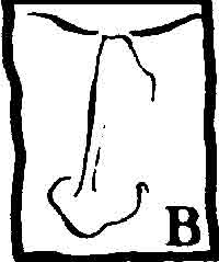 Image80.jpg (5153 bytes)