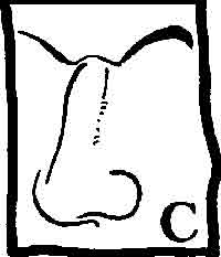 Image81.jpg (4959 bytes)